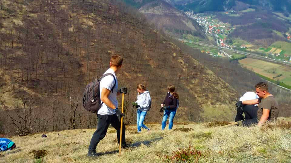 Posumljavanje Orlovika Posumljavanje Orlovika